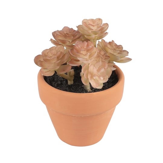 6 Packs: 6 ct. (36 total) Mixed Mini Premade Succulents in Terra Cotta Pots by Ashland®